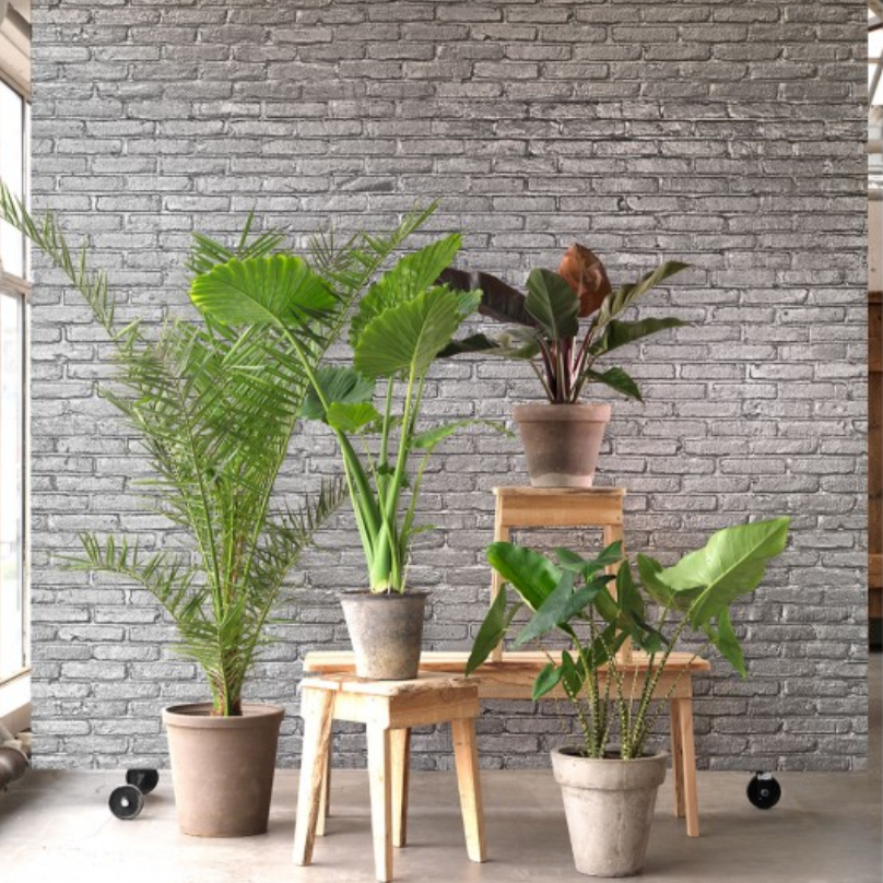 Silver Brick Wallpaper by Piet Hein Eek from White Punch