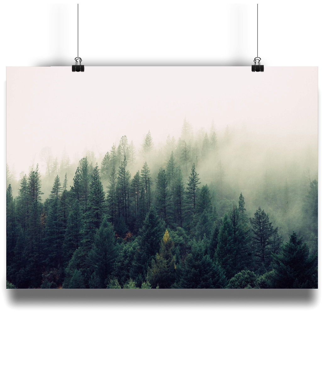 Foggy Wood Poster from White Punch