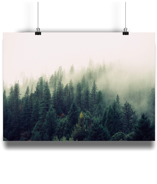Foggy Wood Poster from White Punch